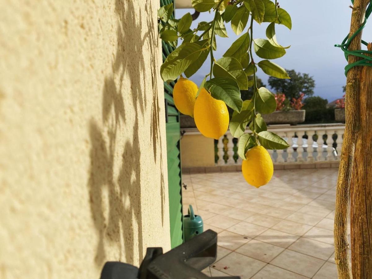 Villa Yucca Istra Labin  Esterno foto