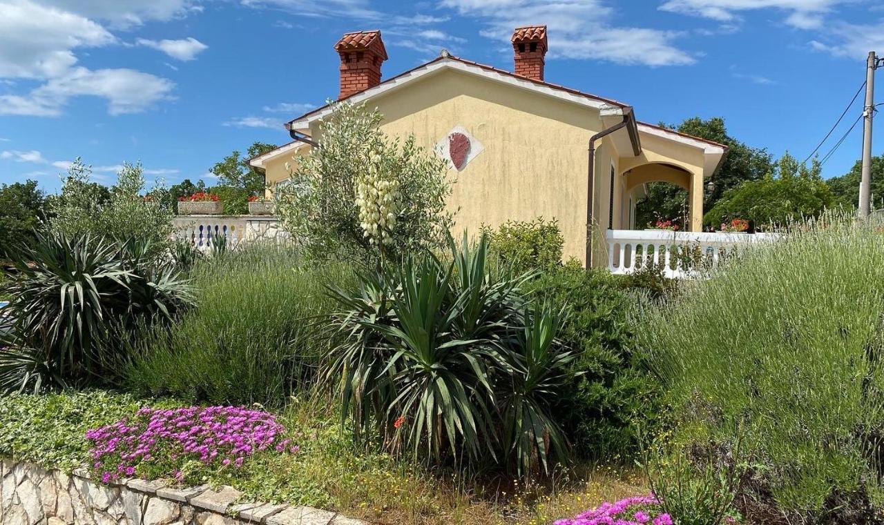 Villa Yucca Istra Labin  Esterno foto